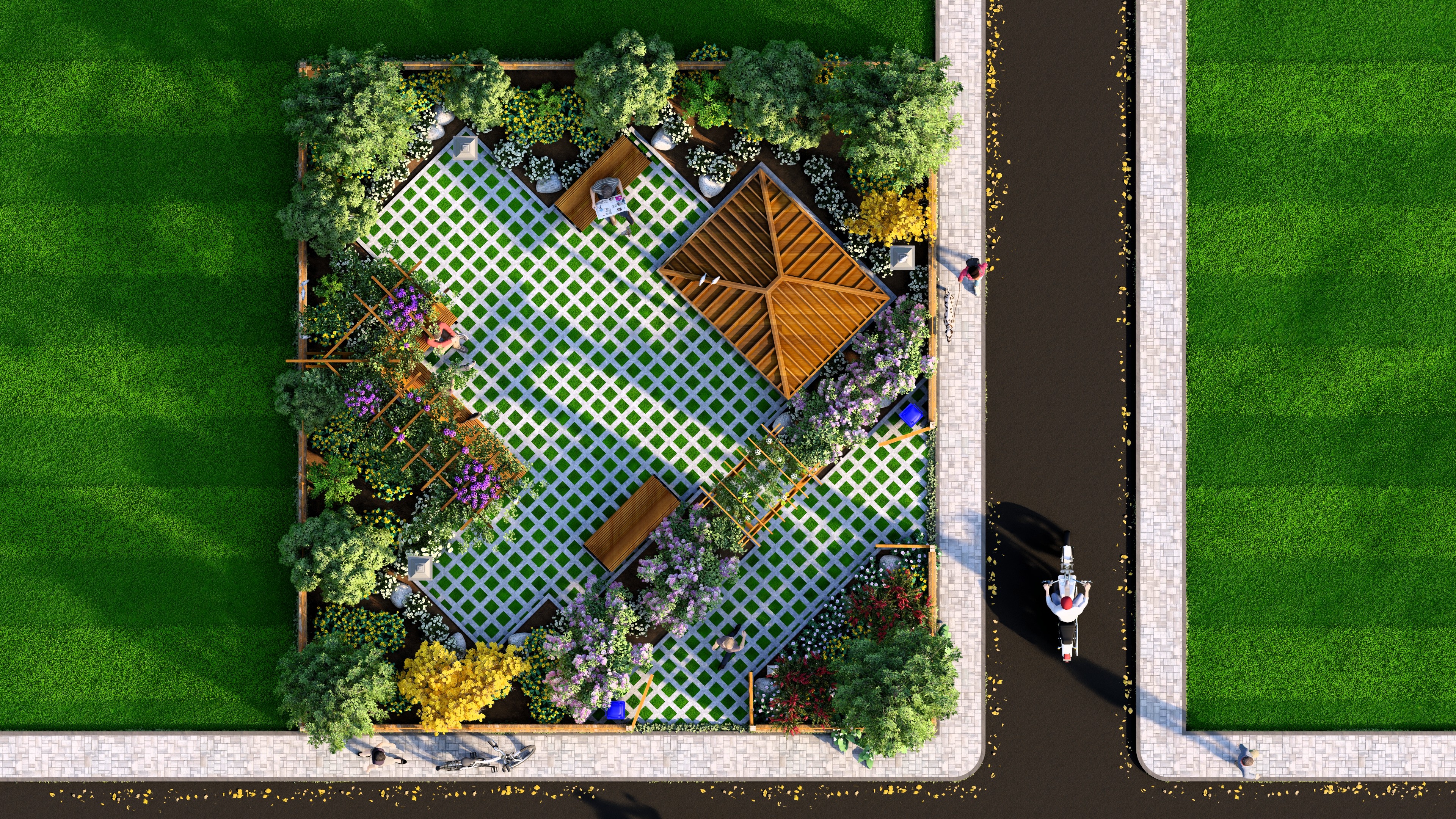 Top view