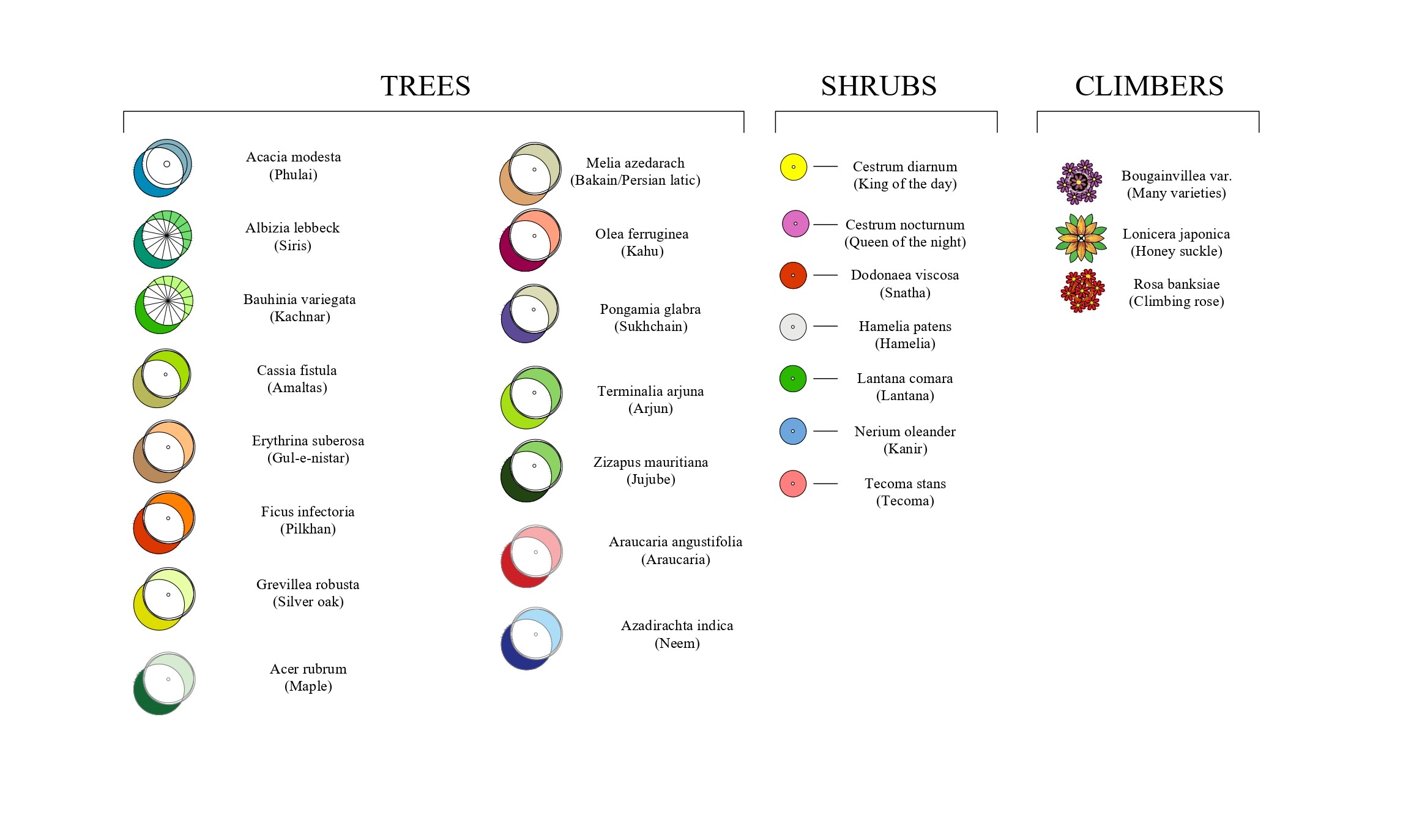 Garden planning